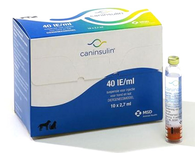 Caninsulin