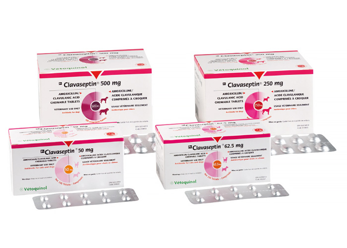 Clavaseptin