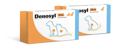 Denosyl