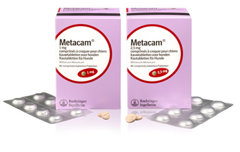 Metacam kauwtabletten voor honden | bijsluiter