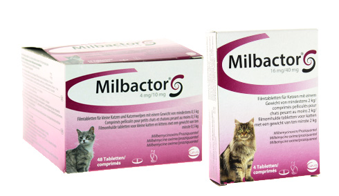 Milbactor Kat