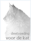 Dieetvoer voor katten