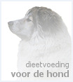 dieetvoeding voor de hond